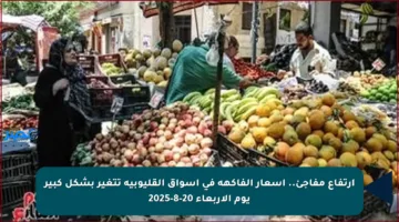 ارتفاع مفاجئ.. أسعار الفاكهة في أسواق القليوبية تتغير بشكل كبير يوم الأربعاء 20-8-2025